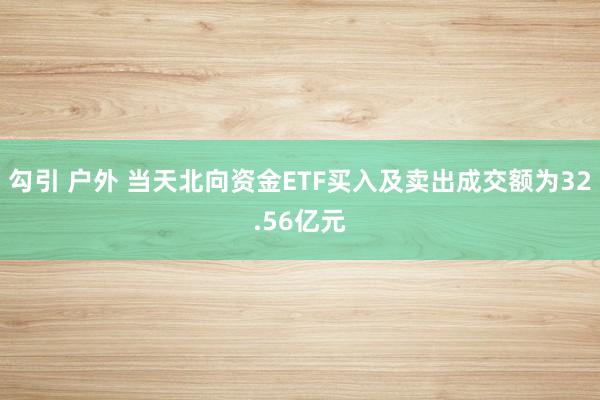 勾引 户外 当天北向资金ETF买入及卖出成交额为32.56亿元