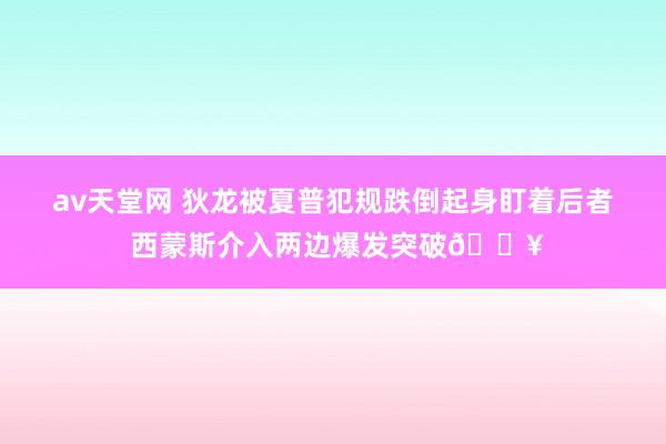 av天堂网 狄龙被夏普犯规跌倒起身盯着后者 西蒙斯介入两边爆发突破💥