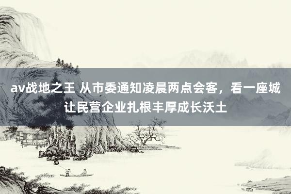 av战地之王 从市委通知凌晨两点会客，看一座城让民营企业扎根丰厚成长沃土