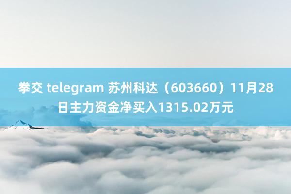 拳交 telegram 苏州科达（603660）11月28日主力资金净买入1315.02万元