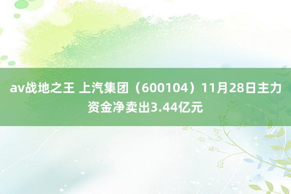 av战地之王 上汽集团（600104）11月28日主力资金净卖出3.44亿元