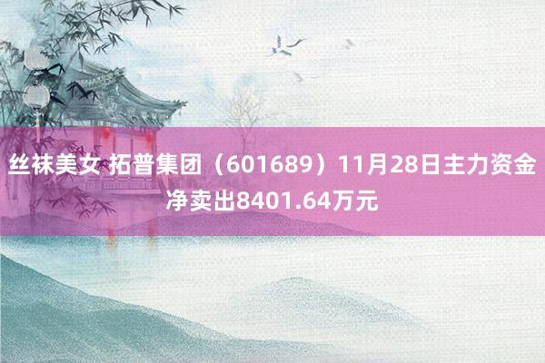 丝袜美女 拓普集团（601689）11月28日主力资金净卖出8401.64万元