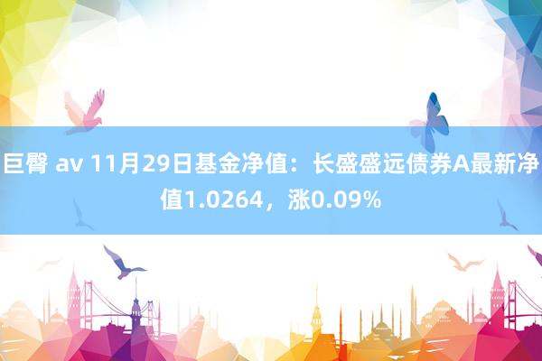 巨臀 av 11月29日基金净值：长盛盛远债券A最新净值1.0264，涨0.09%