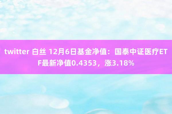 twitter 白丝 12月6日基金净值：国泰中证医疗ETF最新净值0.4353，涨3.18%