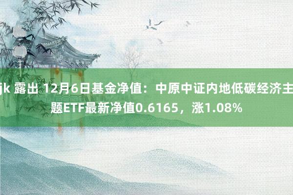 jk 露出 12月6日基金净值：中原中证内地低碳经济主题ETF最新净值0.6165，涨1.08%