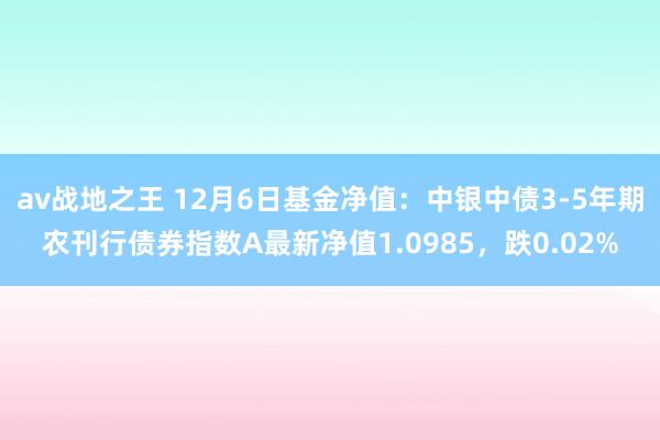 av战地之王 12月6日基金净值：中银中债3-5年期农刊行债券指数A最新净值1.0985，跌0.02%