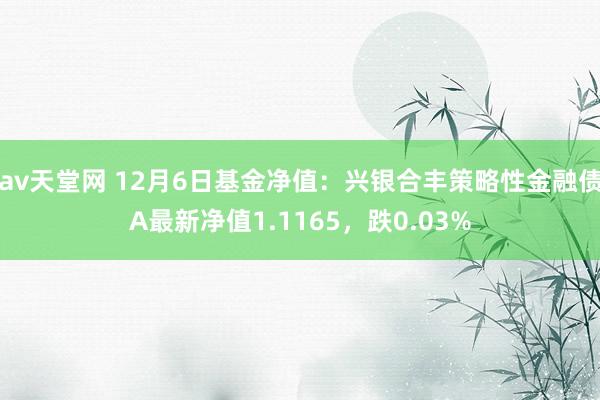 av天堂网 12月6日基金净值：兴银合丰策略性金融债A最新净值1.1165，跌0.03%