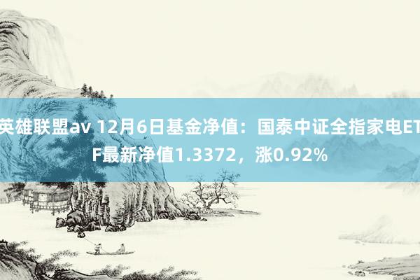 英雄联盟av 12月6日基金净值：国泰中证全指家电ETF最新净值1.3372，涨0.92%