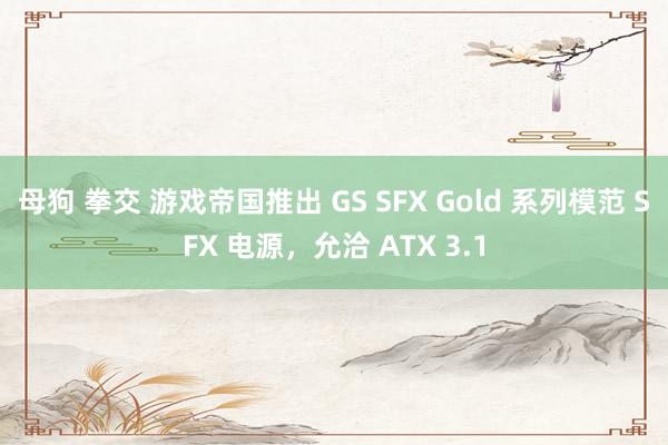 母狗 拳交 游戏帝国推出 GS SFX Gold 系列模范 SFX 电源，允洽 ATX 3.1