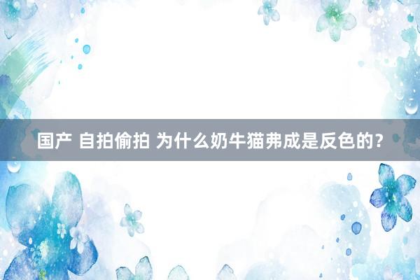 国产 自拍偷拍 为什么奶牛猫弗成是反色的？