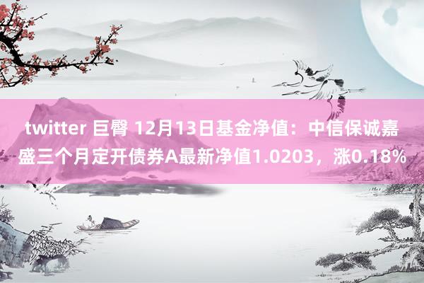 twitter 巨臀 12月13日基金净值：中信保诚嘉盛三个月定开债券A最新净值1.0203，涨0.18%