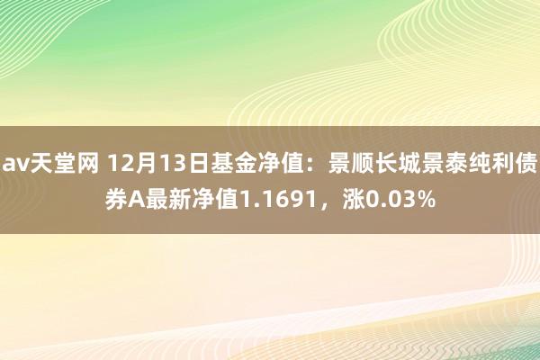 av天堂网 12月13日基金净值：景顺长城景泰纯利债券A最新净值1.1691，涨0.03%