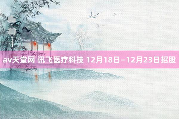 av天堂网 讯飞医疗科技 12月18日—12月23日招股