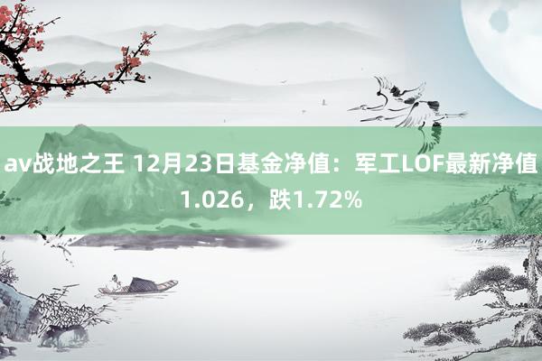 av战地之王 12月23日基金净值：军工LOF最新净值1.026，跌1.72%