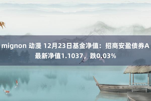 mignon 动漫 12月23日基金净值：招商安盈债券A最新净值1.1037，跌0.03%