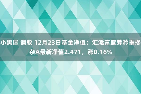 小黑屋 调教 12月23日基金净值：汇添富蓝筹矜重搀杂A最新净值2.471，涨0.16%