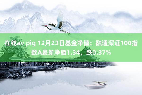 在线av pig 12月23日基金净值：融通深证100指数A最新净值1.34，跌0.37%