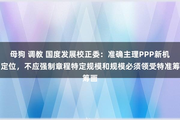 母狗 调教 国度发展校正委：准确主理PPP新机制定位，不应强制章程特定规模和规模必须领受特准筹画