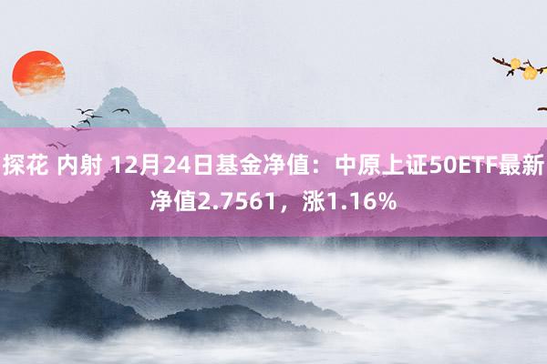 探花 内射 12月24日基金净值：中原上证50ETF最新净值2.7561，涨1.16%