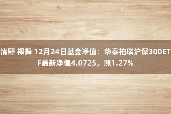 清野 裸舞 12月24日基金净值：华泰柏瑞沪深300ETF最新净值4.0725，涨1.27%