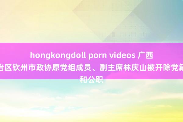 hongkongdoll porn videos 广西壮族自治区钦州市政协原党组成员、副主席林庆山被开除党籍和公职