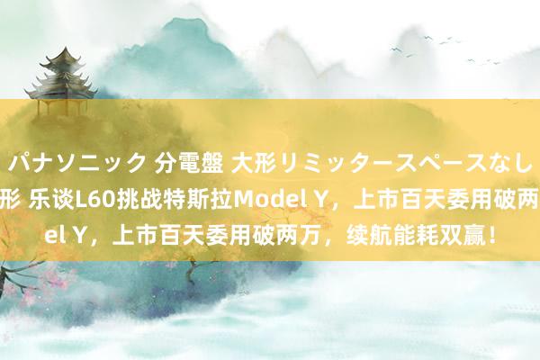 パナソニック 分電盤 大形リミッタースペースなし 露出・半埋込両用形 乐谈L60挑战特斯拉Model Y，上市百天委用破两万，续航能耗双赢！