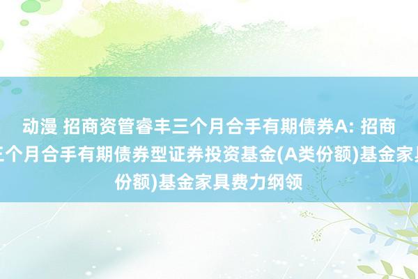 动漫 招商资管睿丰三个月合手有期债券A: 招商资管睿丰三个月合手有期债券型证券投资基金(A类份额)基金家具费力纲领