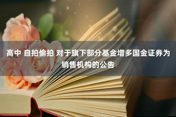 高中 自拍偷拍 对于旗下部分基金增多国金证券为销售机构的公告