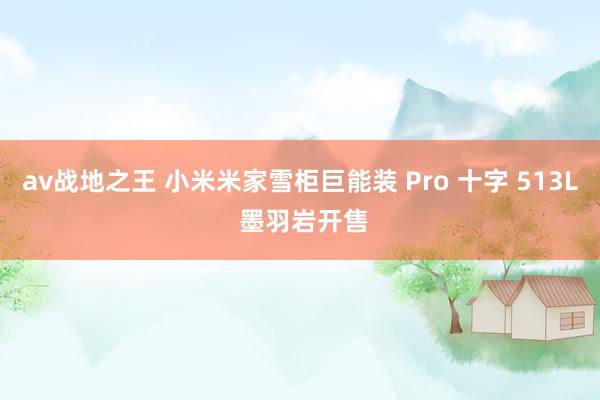 av战地之王 小米米家雪柜巨能装 Pro 十字 513L 墨羽岩开售