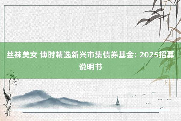 丝袜美女 博时精选新兴市集债券基金: 2025招募说明书