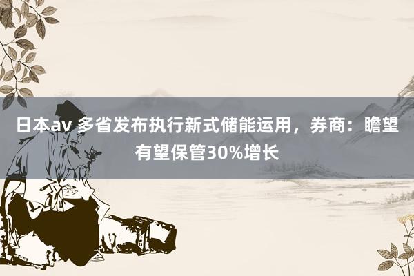 日本av 多省发布执行新式储能运用，券商：瞻望有望保管30%增长