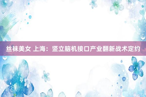 丝袜美女 上海：竖立脑机接口产业翻新战术定约